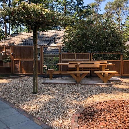 Veluwe Vakantiehuis - Bosuil Lodge لونتيرين المظهر الخارجي الصورة